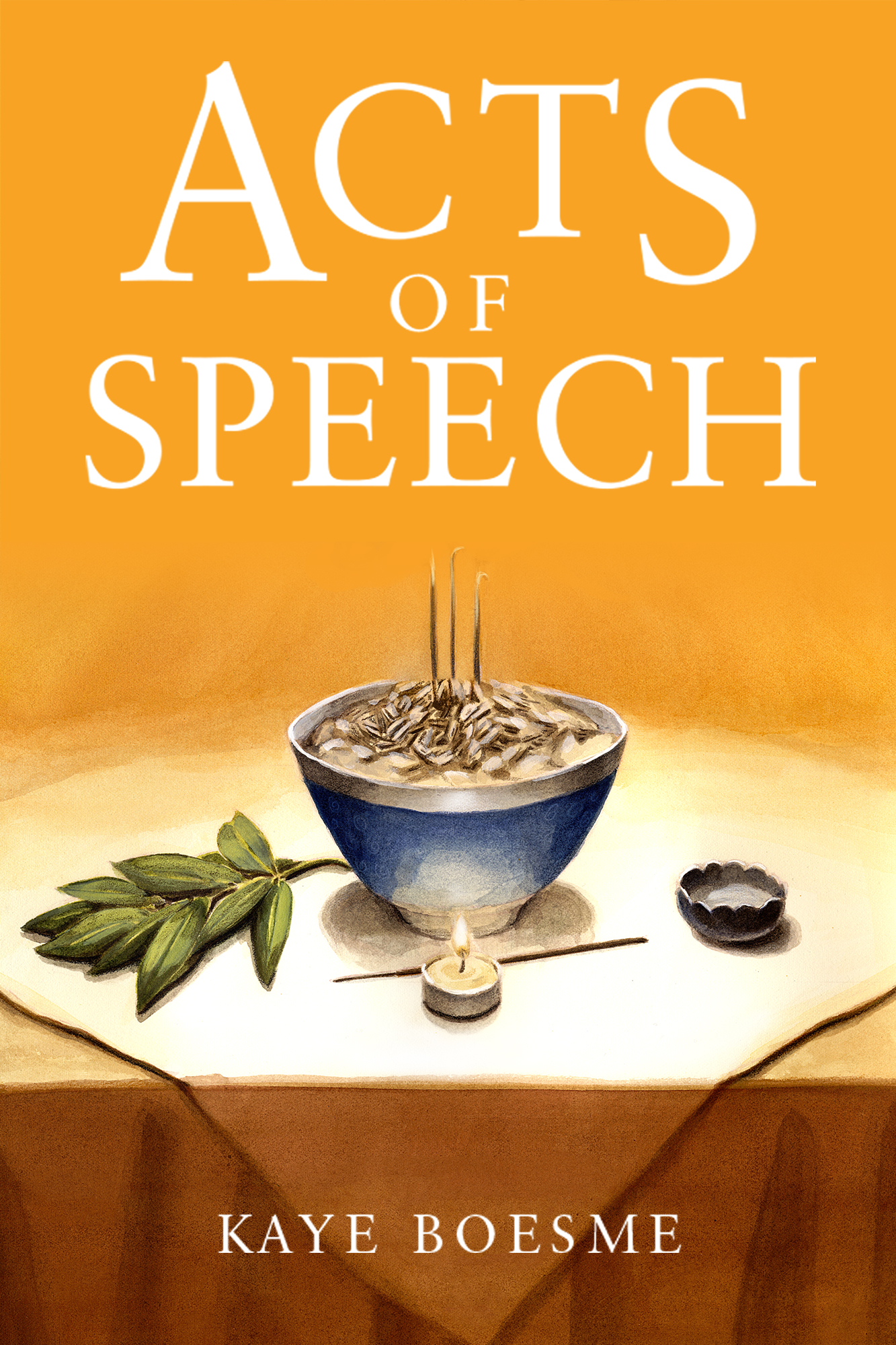 Acts of Speech book cover